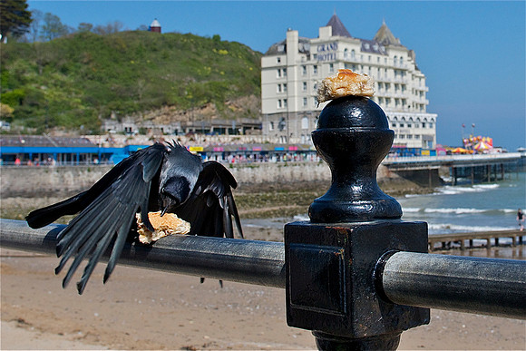 Llandudno
